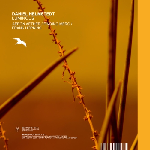 Daniel Helmstedt - Luminous [MASL010]